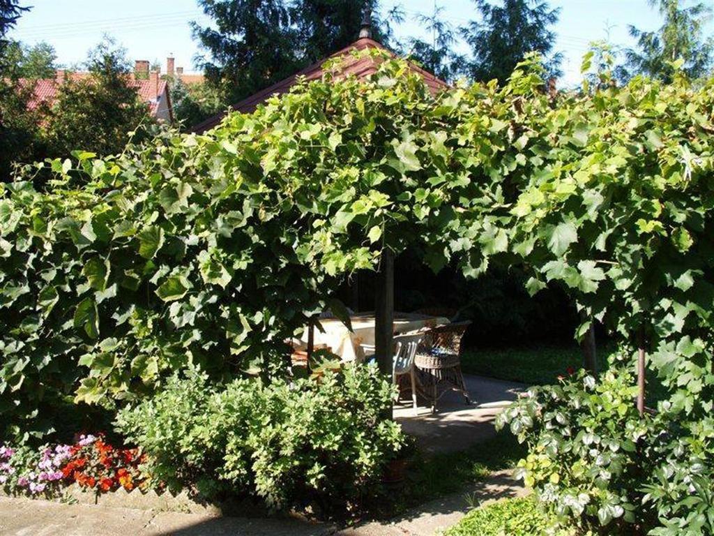Pallosi Haz "A" Sárvár Exteriör bild